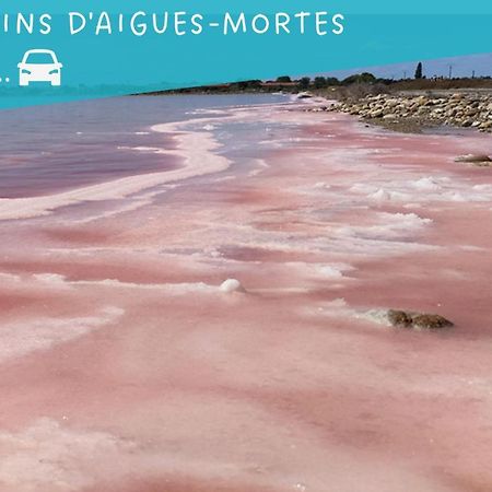 Ferienwohnung Le Flamant Rose - Cosykaz Aigues-Mortes Exterior foto