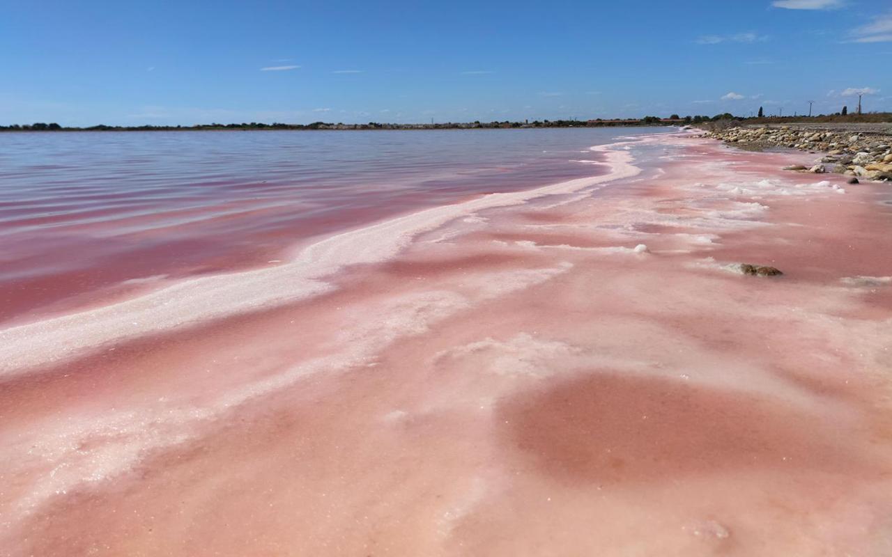 Ferienwohnung Le Flamant Rose - Cosykaz Aigues-Mortes Exterior foto